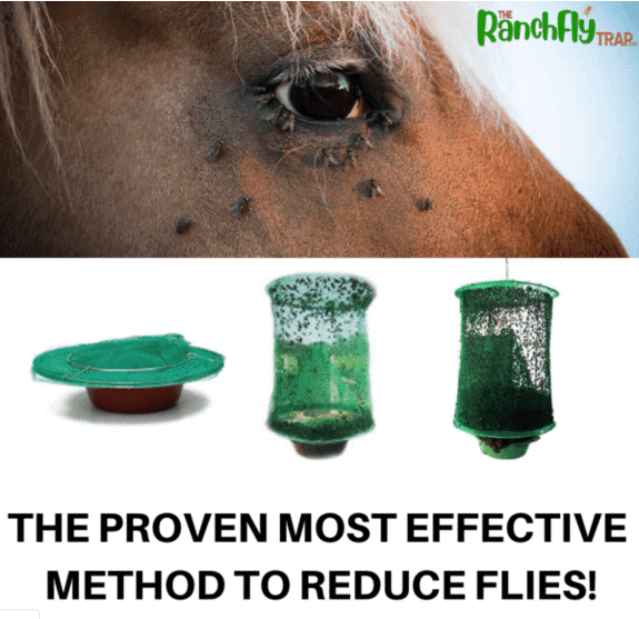 Ranch Fly Trap